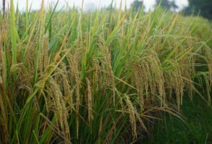 organic agricultural supplies