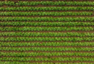 organic farming supplies