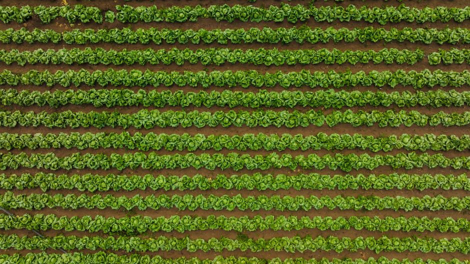 organic farming supplies