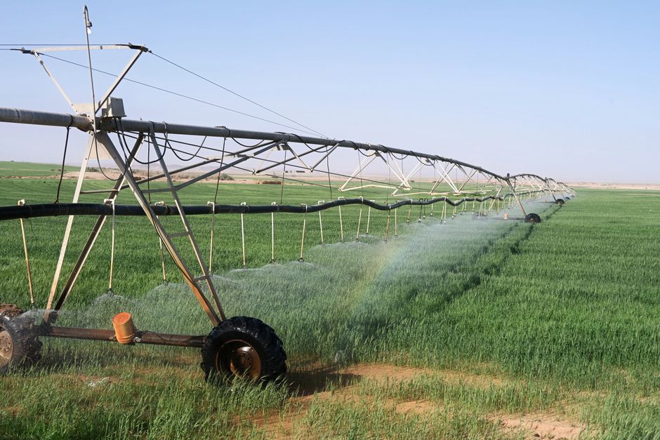 irrigation system