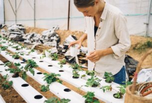 aquaponics kit