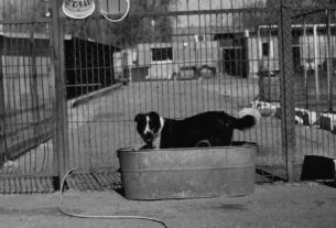 pet boarding facility