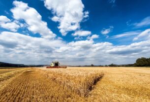 crop insurance