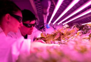 vertical farming technology