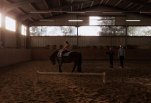 horse riding lessons