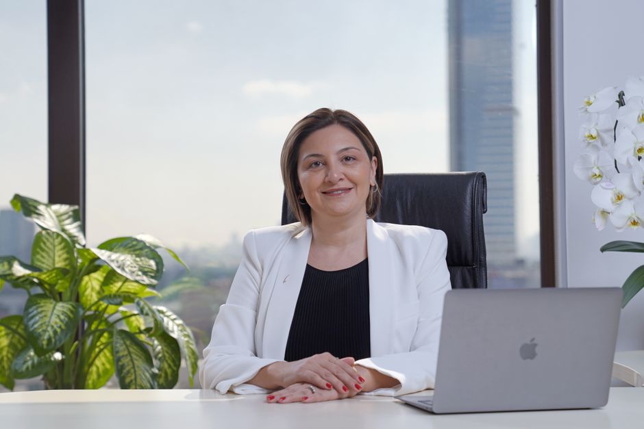 director financiero externo