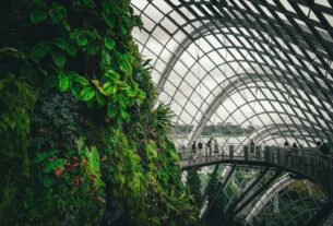 sustainable architecture firm
